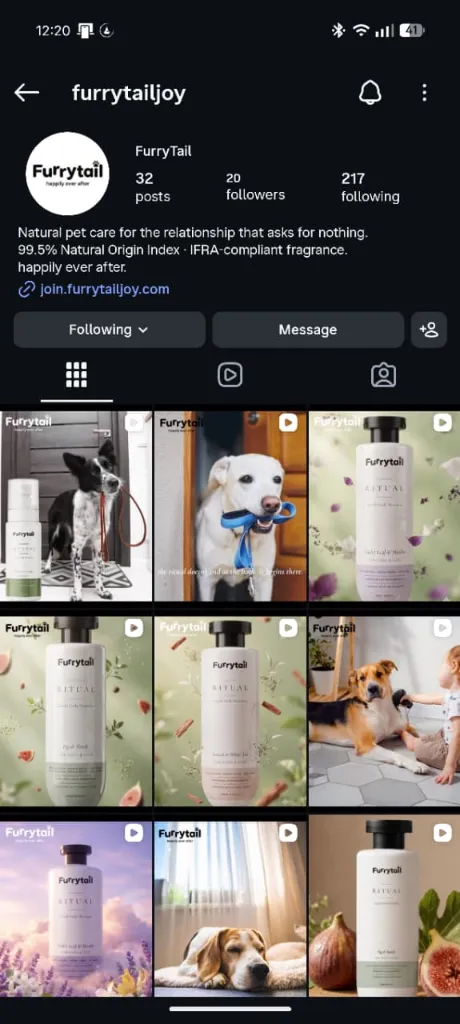 Furrytail Instagram Community
